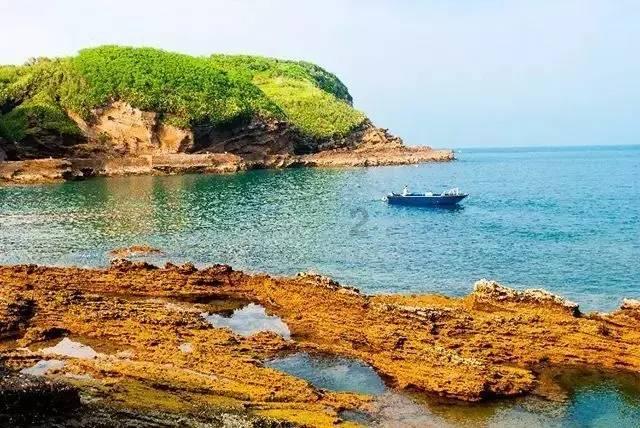 媒体人:崔康熙想为泰山签郑达伦但名额不够,球员大概率去成都